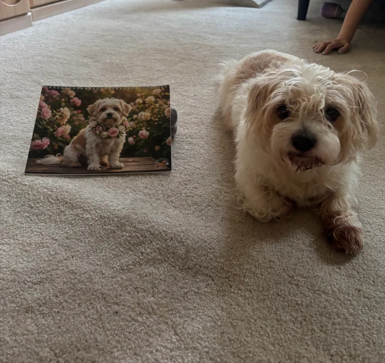 Review photo