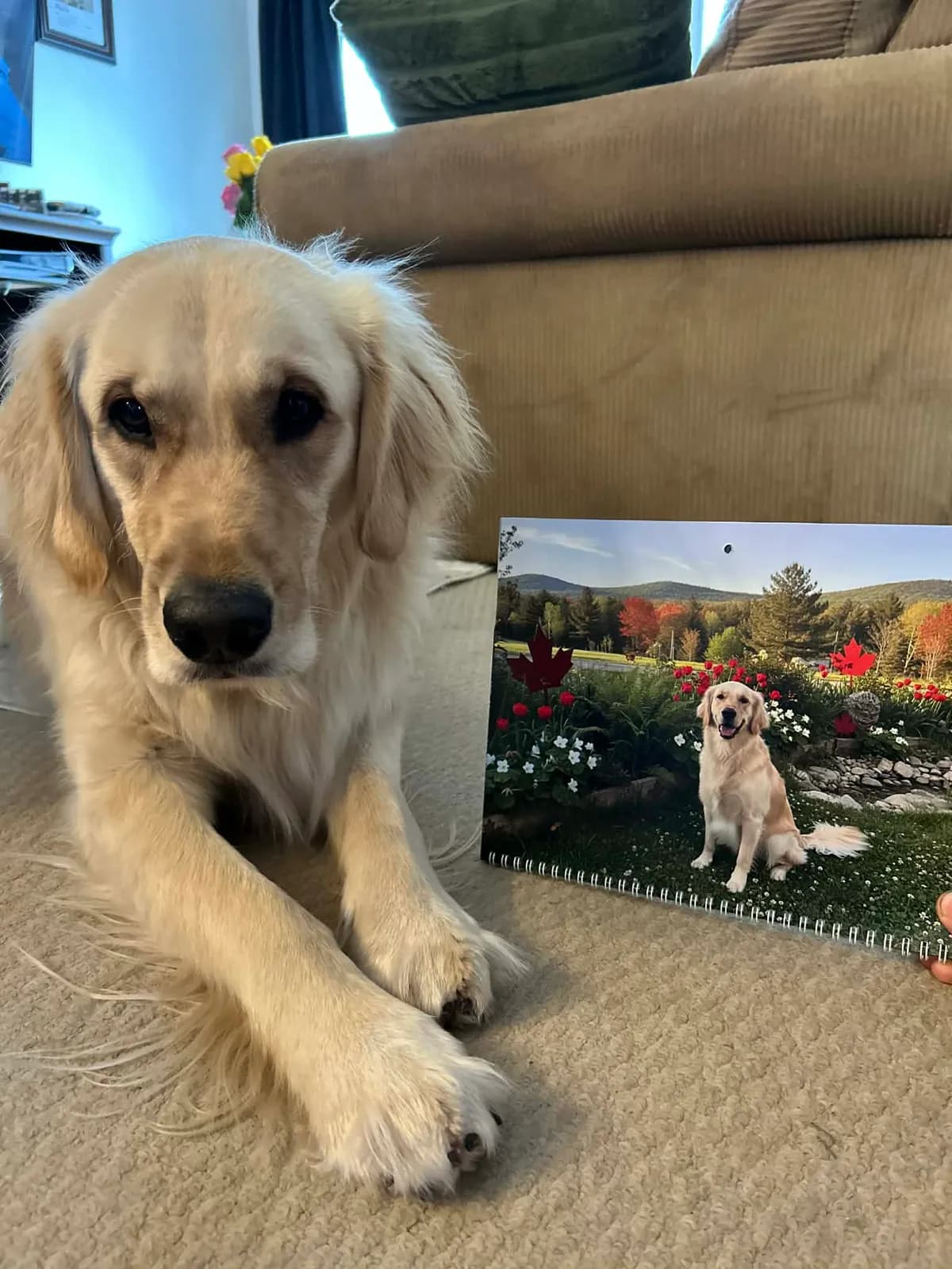 Review photo