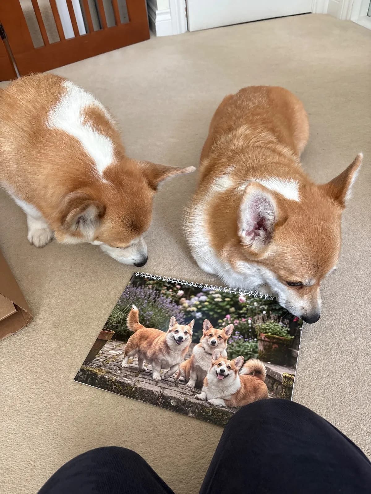 Review photo