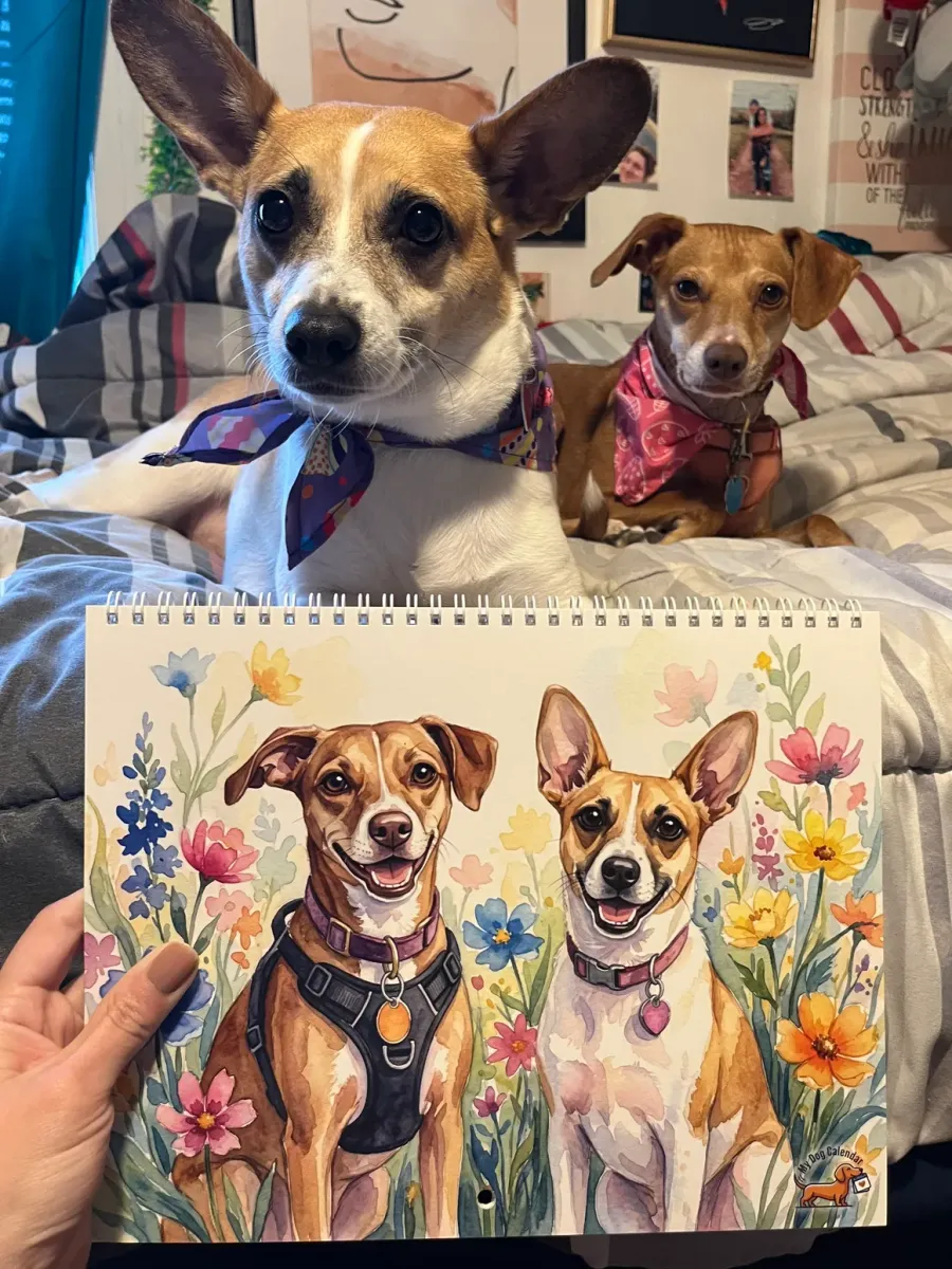 A hand holding a printed Watercolor calendar in front of the two real dogs painted on its cover, on a bed