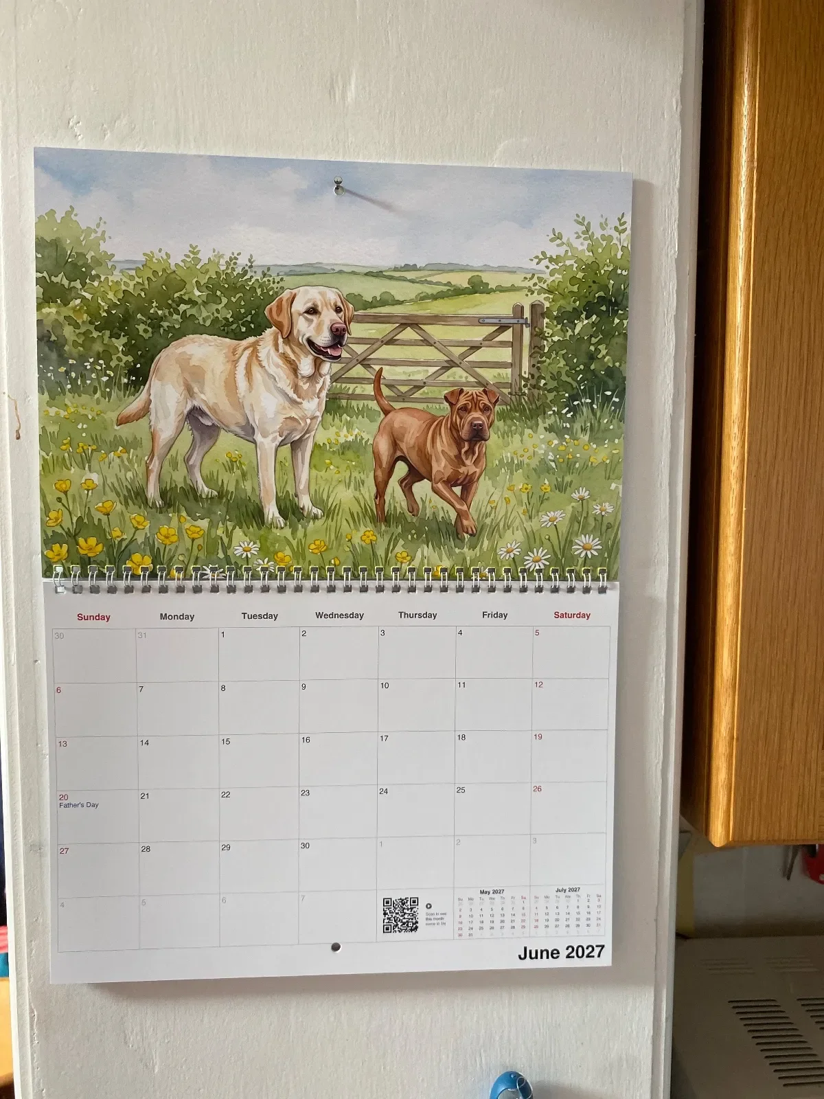 Le calendrier imprimé de Margaret accroché au mur, ouvert sur juin 2027, avec Murphy et Bella peints dans un pré de boutons d’or près d’une barrière en bois