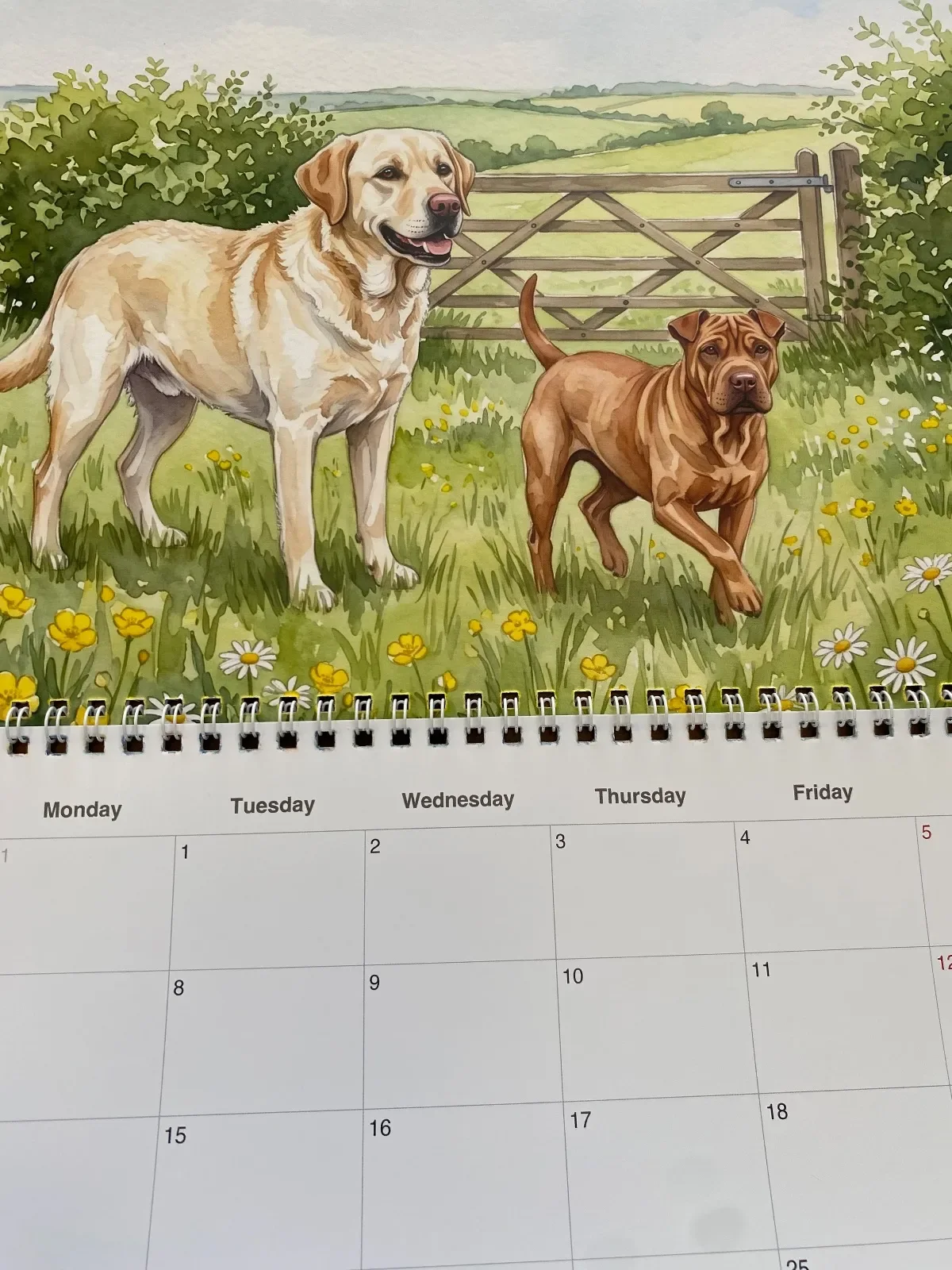Une photo rapprochée de la page de juin imprimée, avec l’aquarelle au-dessus de la reliure à spirale et la grille des dates